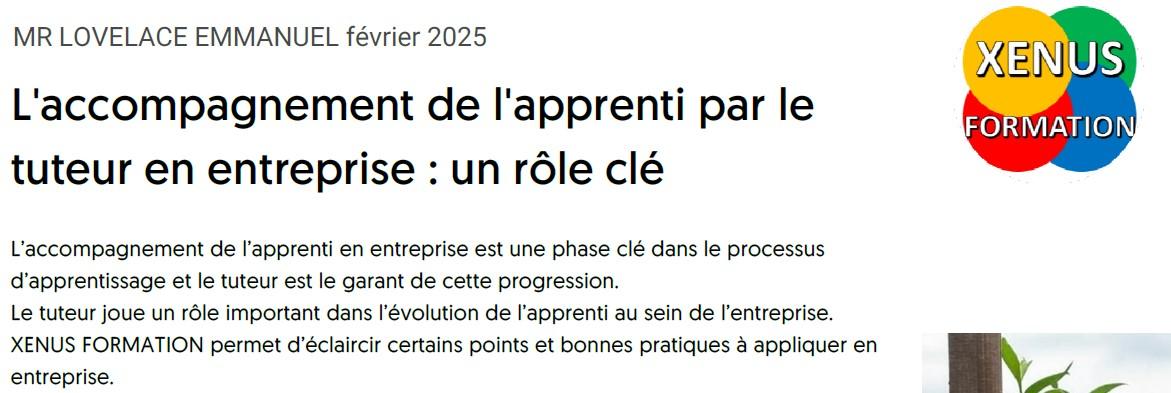 Accompagnement de l'apprenti par le tuteur en entreprise : un rôle clé